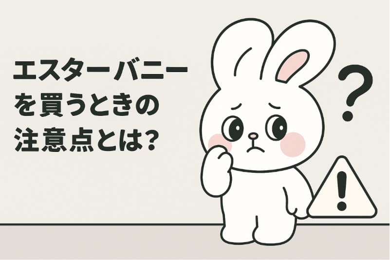 エスターバニーを買うときの注意点とは?