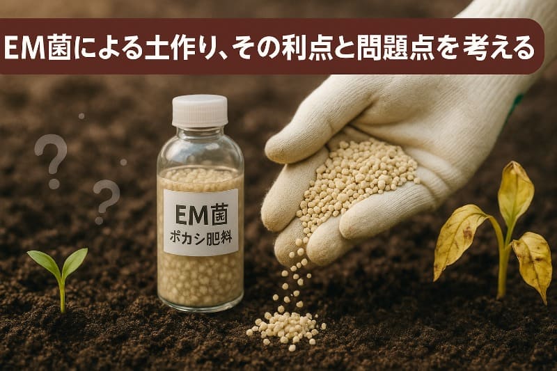 em菌による土作り、その利点と問題点を考える