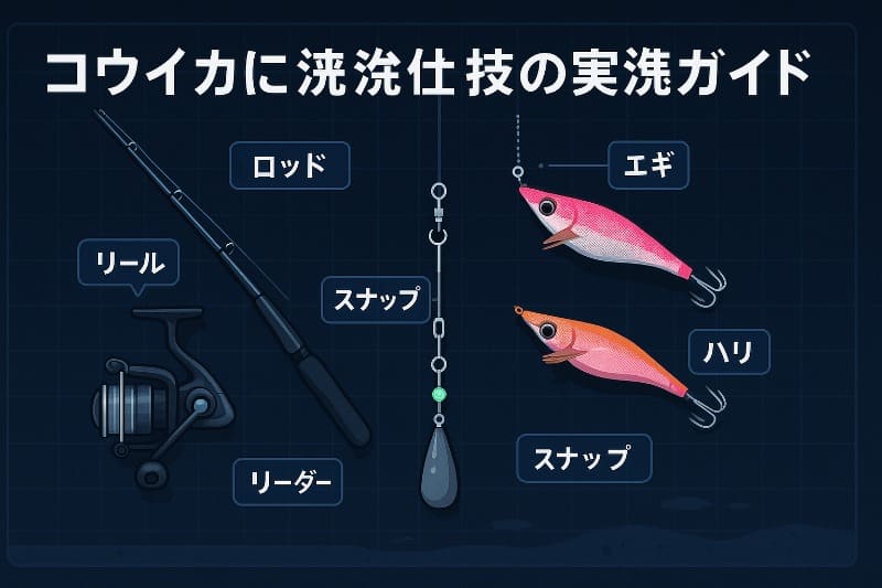 コウイカ最強仕掛けの実践ガイド