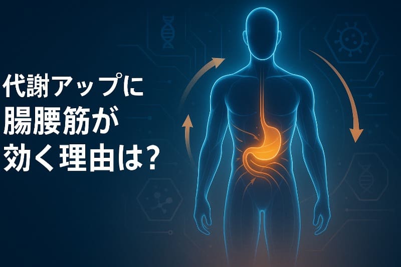 代謝アップに腸腰筋が効く理由とは?