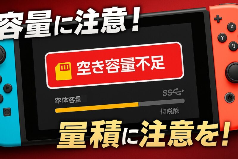 容量不足に注意!Switch版のデータ事情