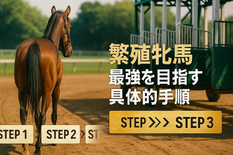 繁殖牝馬で最強を目指す具体的手順