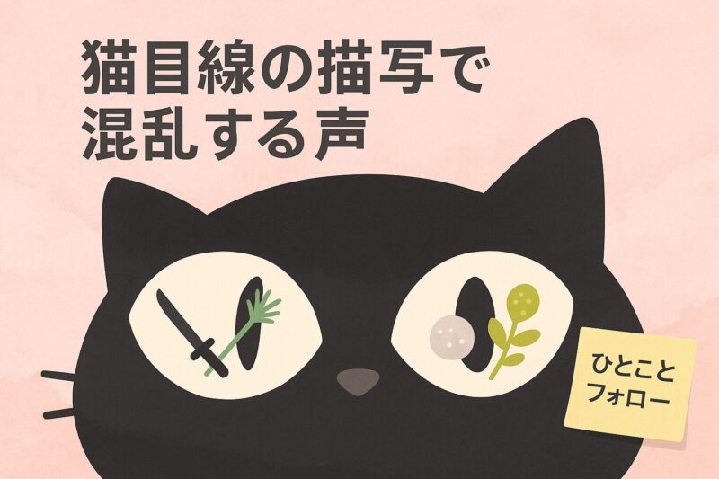 alt="ねこねこ日本史の猫目線描写で混乱する声を表現。猫の目の中に刀が猫じゃらしに、ご褒美がまたたびに置き換えられている"