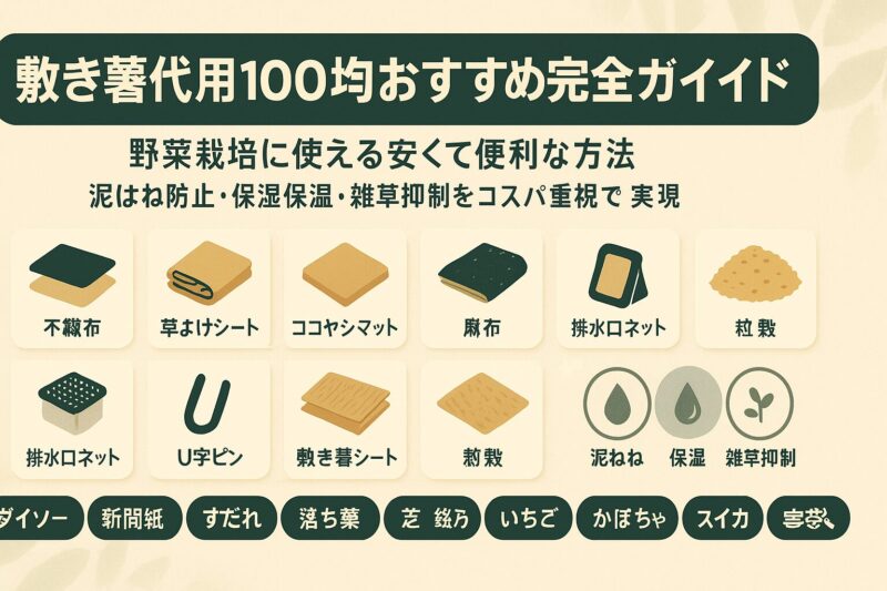 敷き藁代用100均おすすめ完全ガイド野菜栽培に使える安くて便利な方法