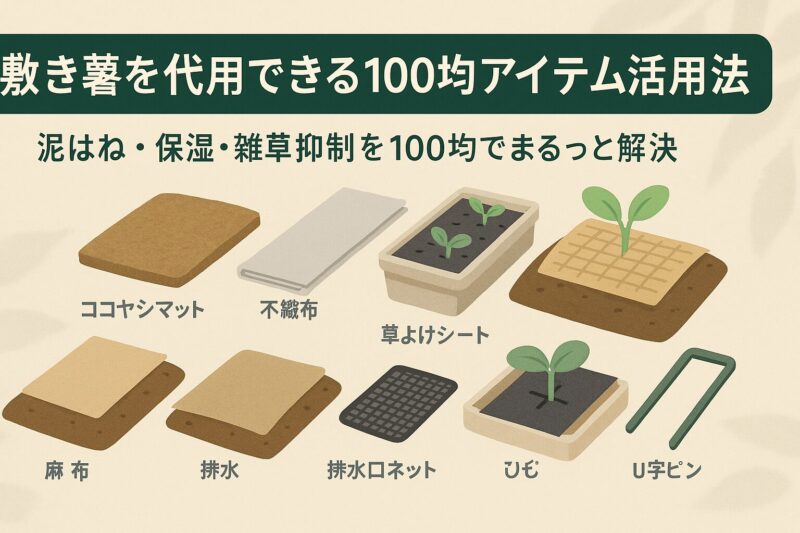 alt="スイカを守るための敷き藁代用おすすめ。籾殻や厚手シートで接地面を保護し、傾斜で排水する方法のイラスト"
