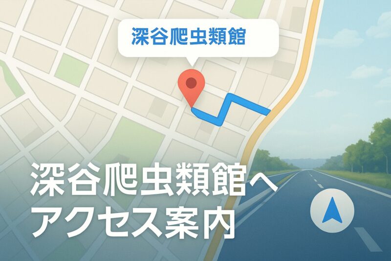 深谷爬虫類館へのアクセス案内を示す画像。地図アプリ風の画面に目的地ピンと道筋が描かれたナビデザイン。