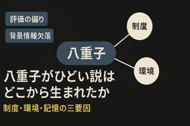 八重子がひどい説はどこから生まれたかを検証するイメージ。制度・環境・記憶の三要因を放射状ネットワークで表現。
