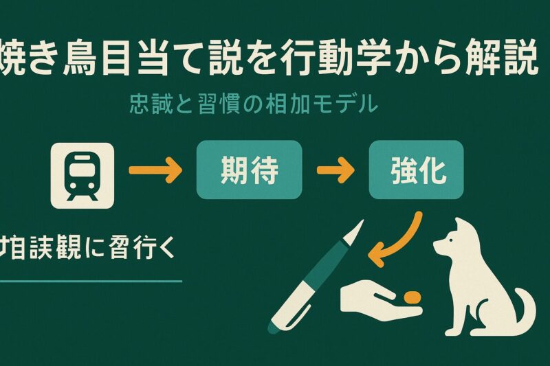焼き鳥目当て説を行動学から解説するイメージ。駅から犬へ食べ物が渡るフロー図を示した教育インフォグラフィック。
