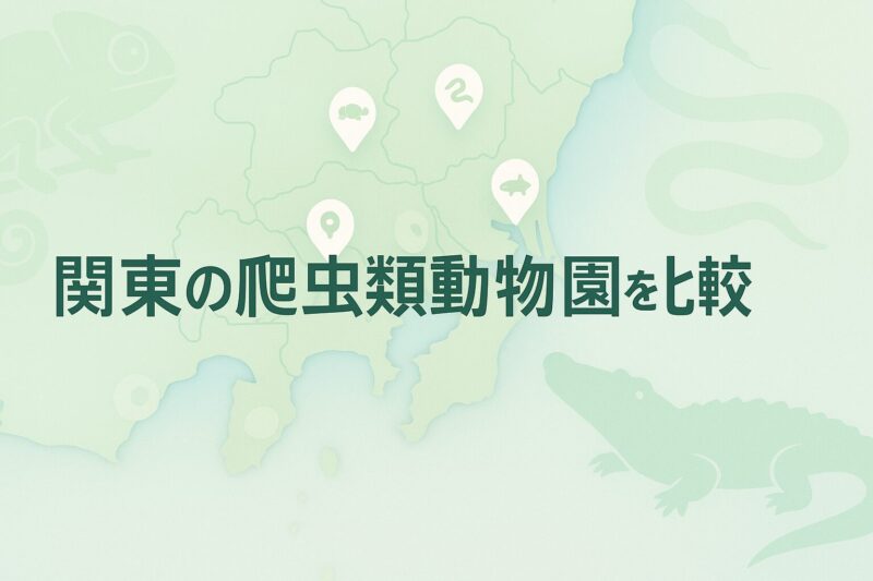 関東の爬虫類動物園を比較するイメージ。関東地図に複数の動物園アイコンと爬虫類シルエットを配置した構図。