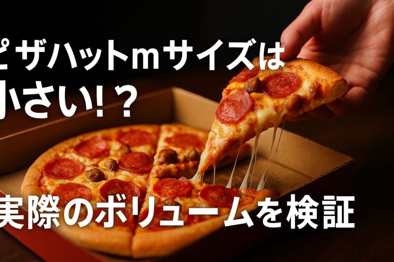 ピザハットMサイズを箱から取り出し、チーズがとろけるピースを持ち上げる写真。実際のボリュームを検証するシーン。