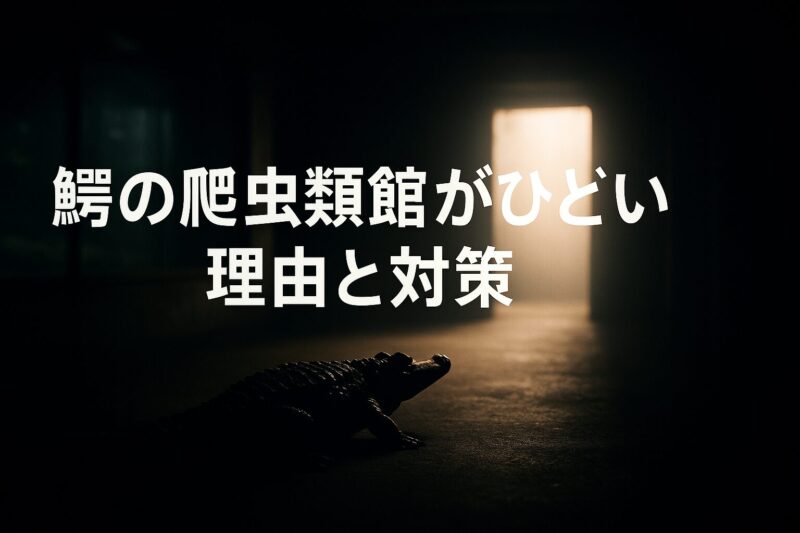 鰐の爬虫類館がひどい理由と対策を象徴する画像。暗い通路の奥に光が差し込む希望を感じる構図。